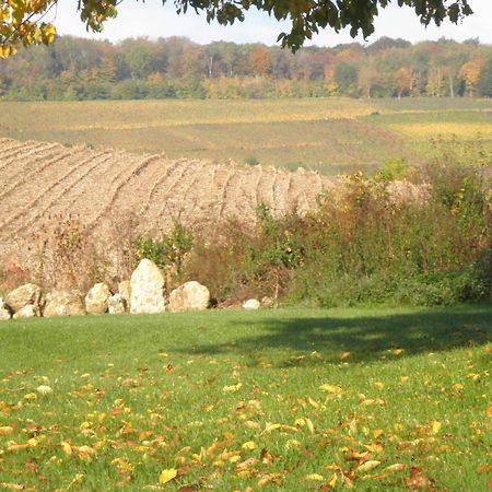 Domaine Du Moulin De L'Etang Bed and Breakfast Châtillon-sur-Marne Esterno foto