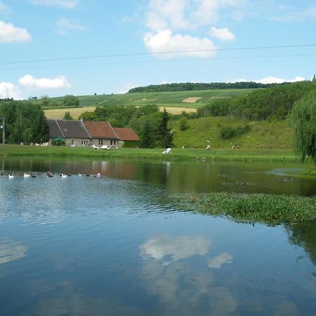 Domaine Du Moulin De L'Etang Bed and Breakfast Châtillon-sur-Marne Esterno foto