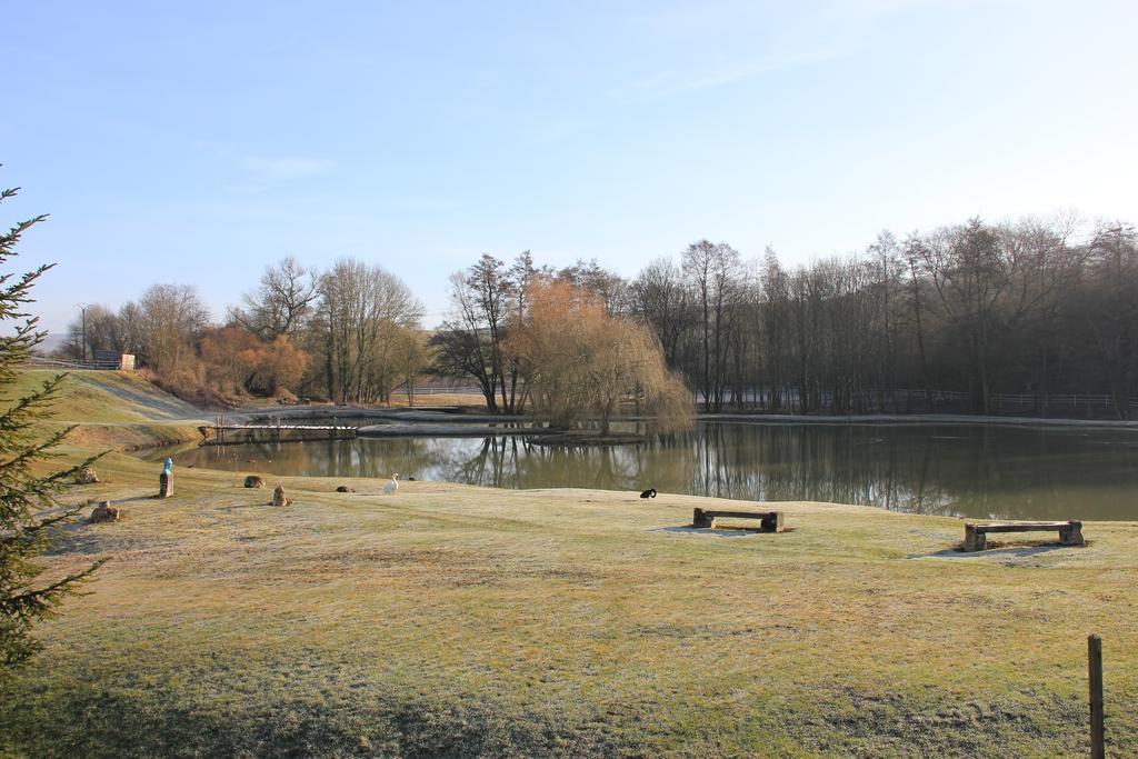 Domaine Du Moulin De L'Etang Bed and Breakfast Châtillon-sur-Marne Esterno foto