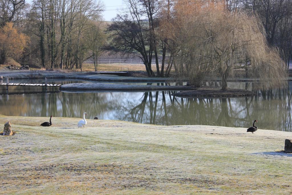 Domaine Du Moulin De L'Etang Bed and Breakfast Châtillon-sur-Marne Esterno foto