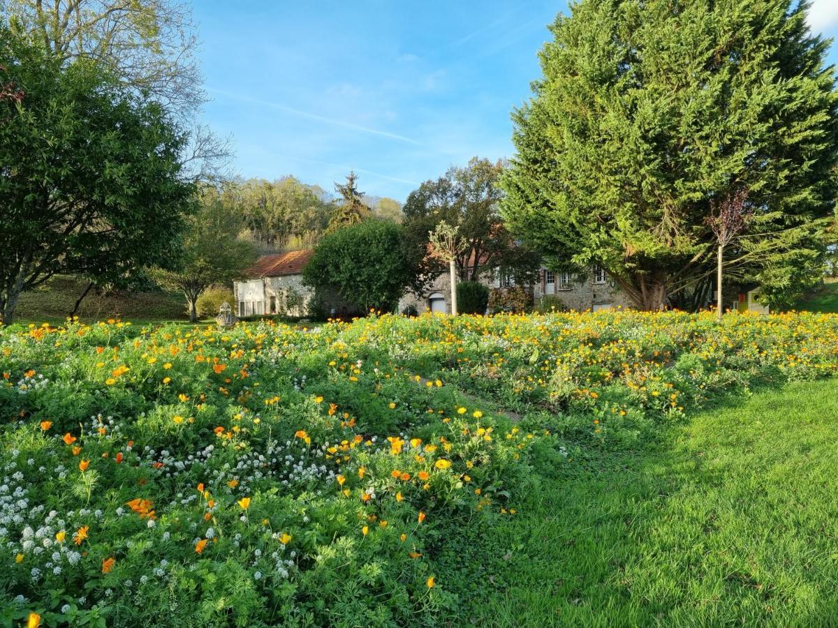 Domaine Du Moulin De L'Etang Bed and Breakfast Châtillon-sur-Marne Esterno foto