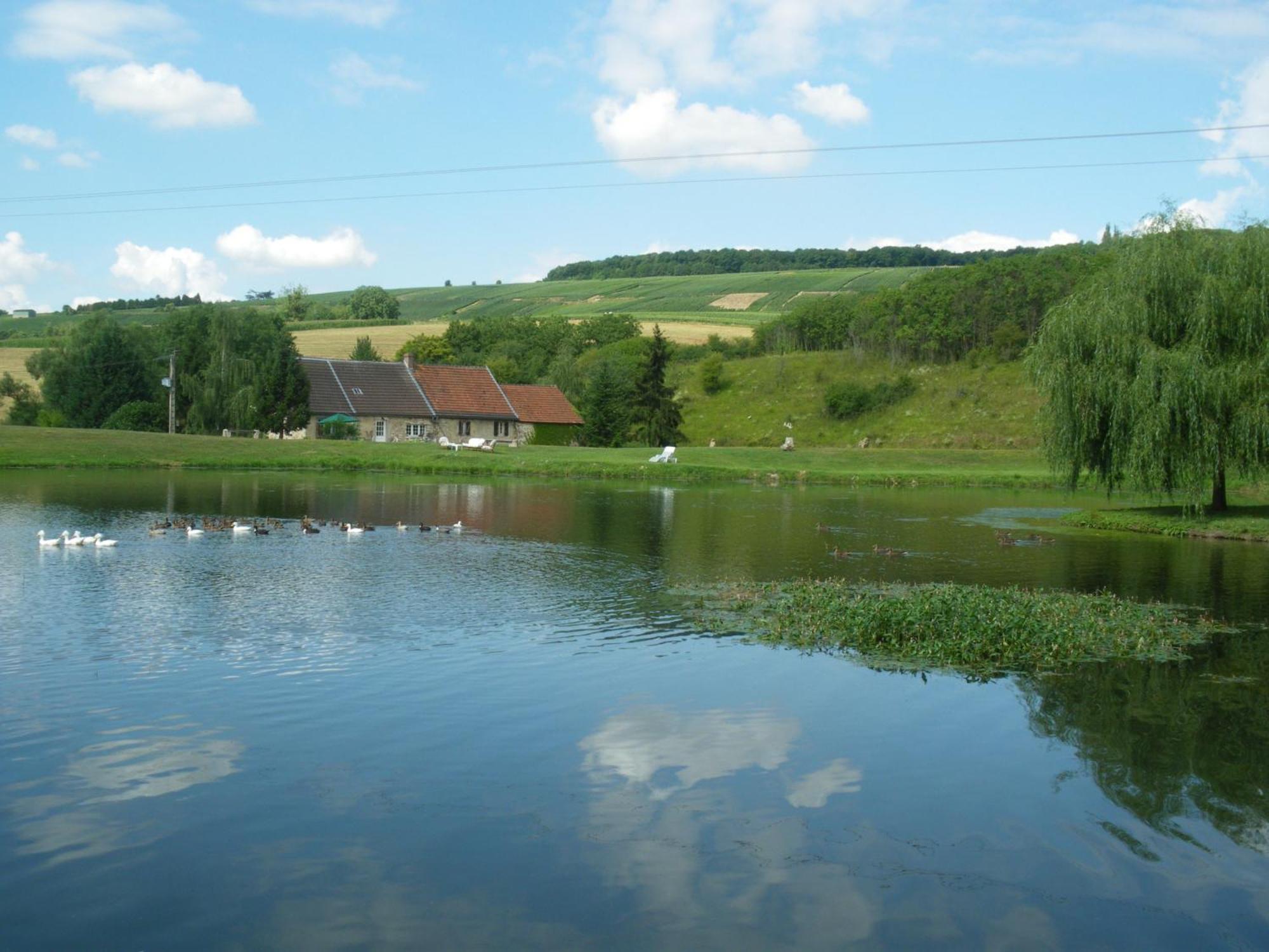 Domaine Du Moulin De L'Etang Bed and Breakfast Châtillon-sur-Marne Esterno foto