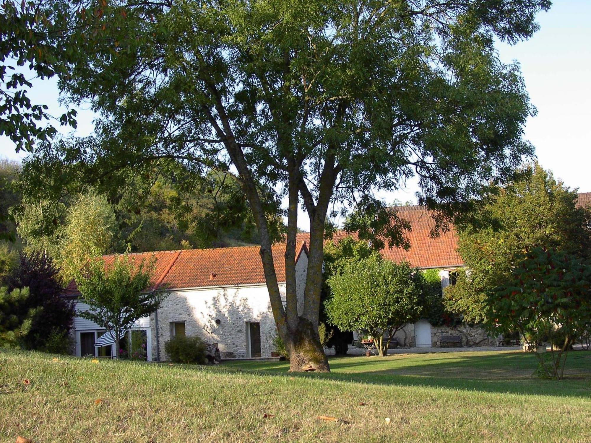 Domaine Du Moulin De L'Etang Bed and Breakfast Châtillon-sur-Marne Esterno foto