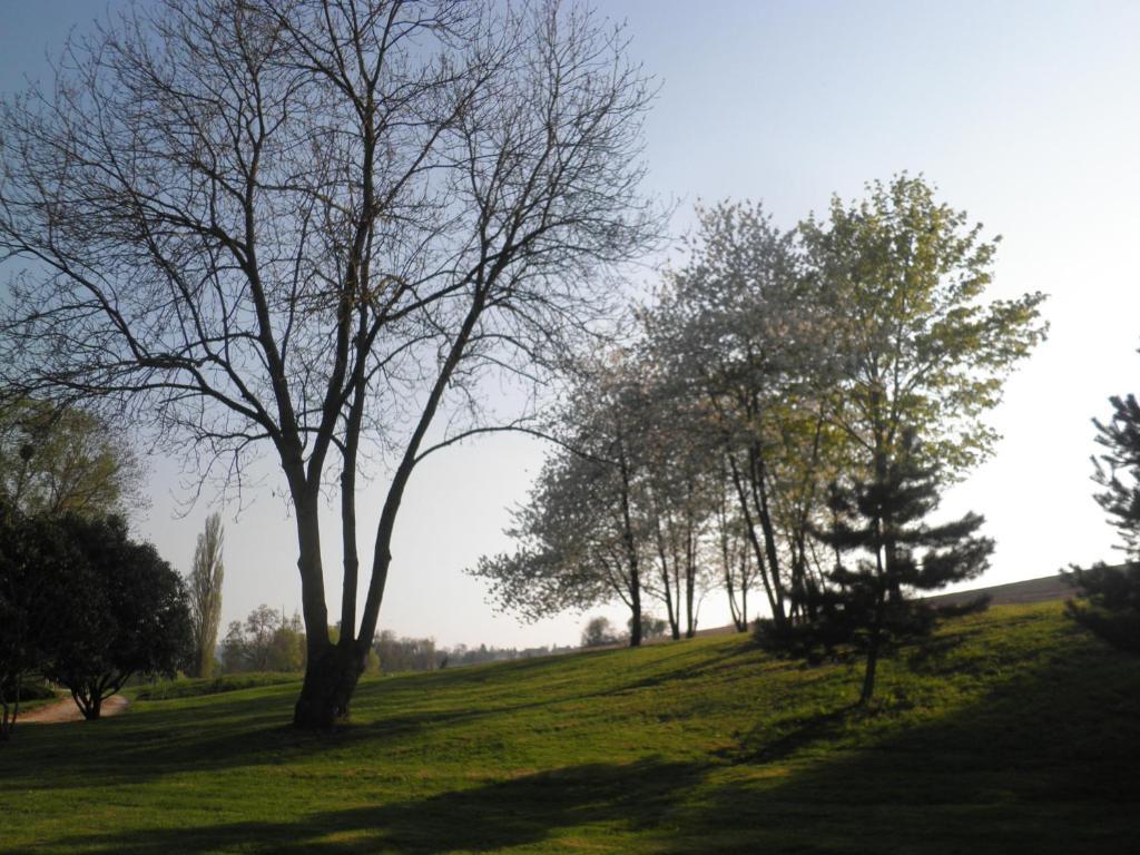 Domaine Du Moulin De L'Etang Bed and Breakfast Châtillon-sur-Marne Camera foto