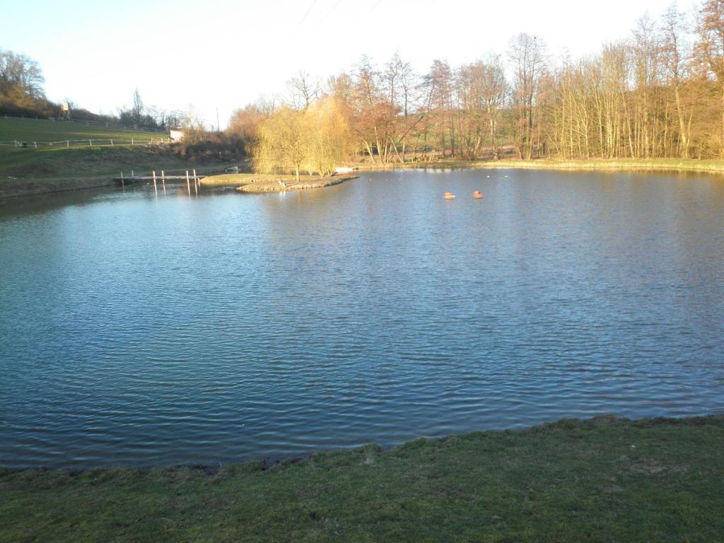 Domaine Du Moulin De L'Etang Bed and Breakfast Châtillon-sur-Marne Esterno foto