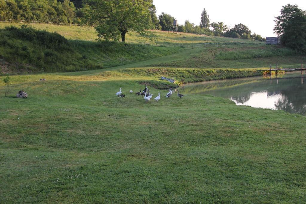 Domaine Du Moulin De L'Etang Bed and Breakfast Châtillon-sur-Marne Esterno foto